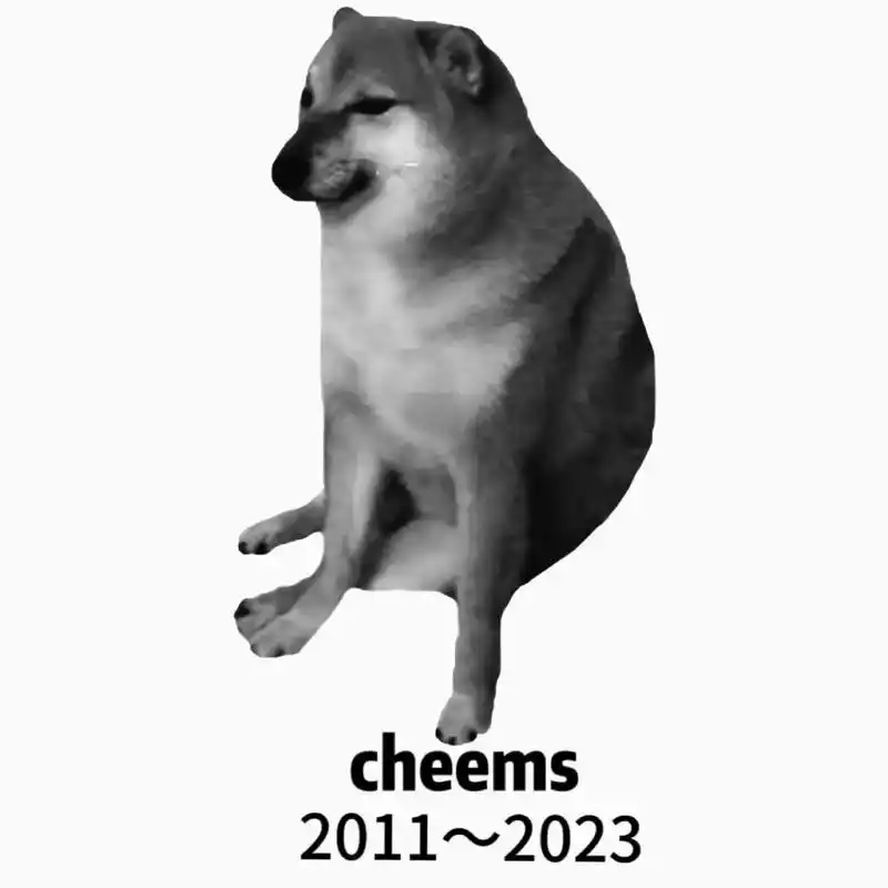 cheems去汪星了 #表情包小狗cheems去世 谢谢你 - 抖音