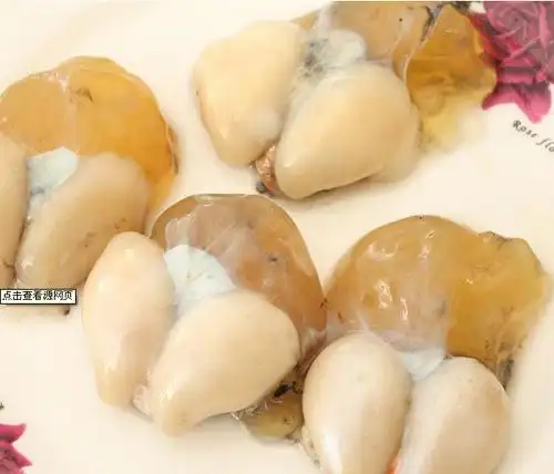 墨鱼卵什么样的?