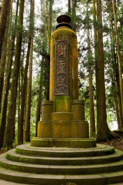 阿里山迷人风景图片风景迷人台湾阿里山