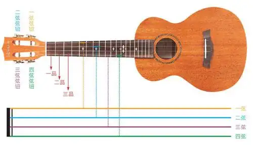 尤克里里琴弦,品格对应位置
