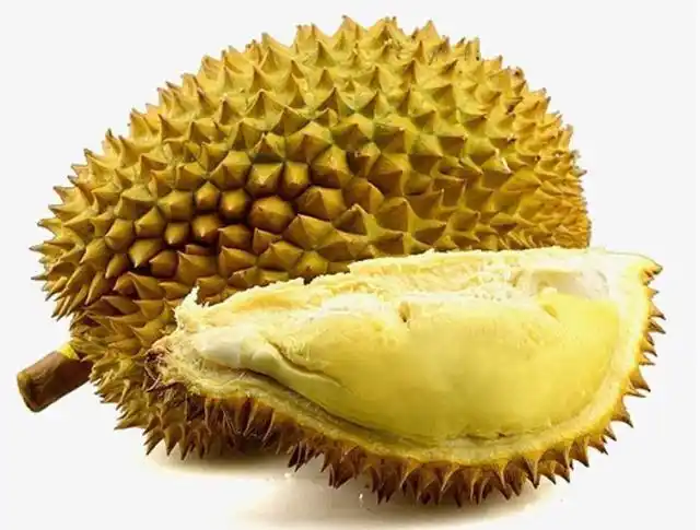 买榴莲时别只挑大的,告诉你6个小诀窍,榴莲新鲜味道好__财经头条