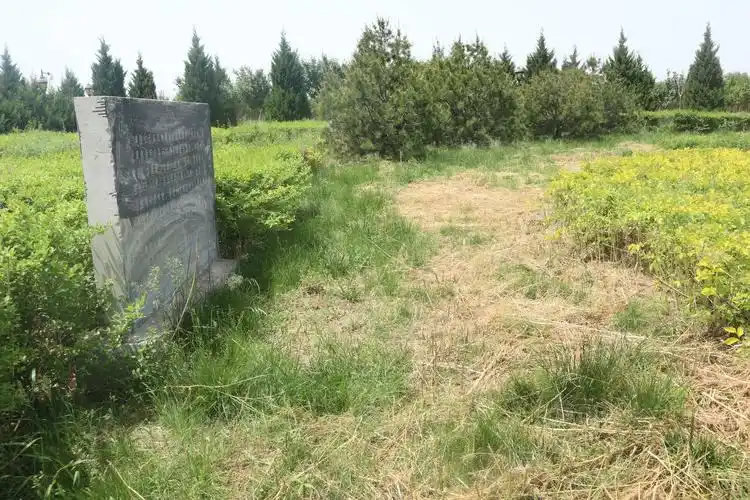 心之所向北周武帝孝陵行