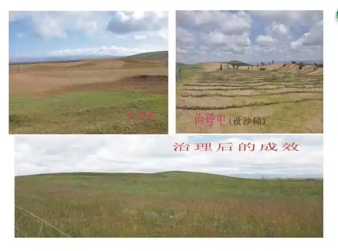 四川计划到2025年完成沙化土地治理35万公顷_腾讯新闻