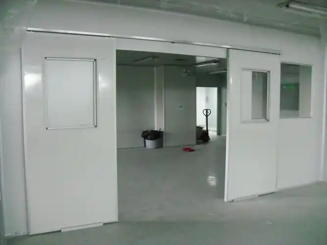 专业制作彩钢夹芯板双开门 无尘车间彩钢板门专用净化型材安装