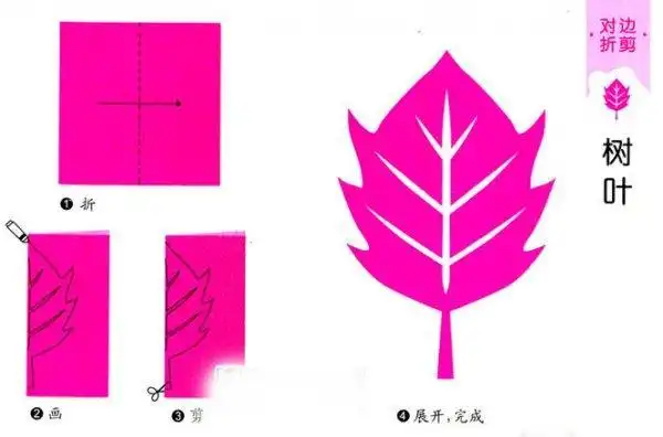 对称植物剪纸画法 植物有哪些轴对称图形答多数植物的树叶是轴