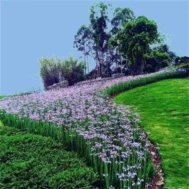 清新淡雅干净治愈山水风景头像大全