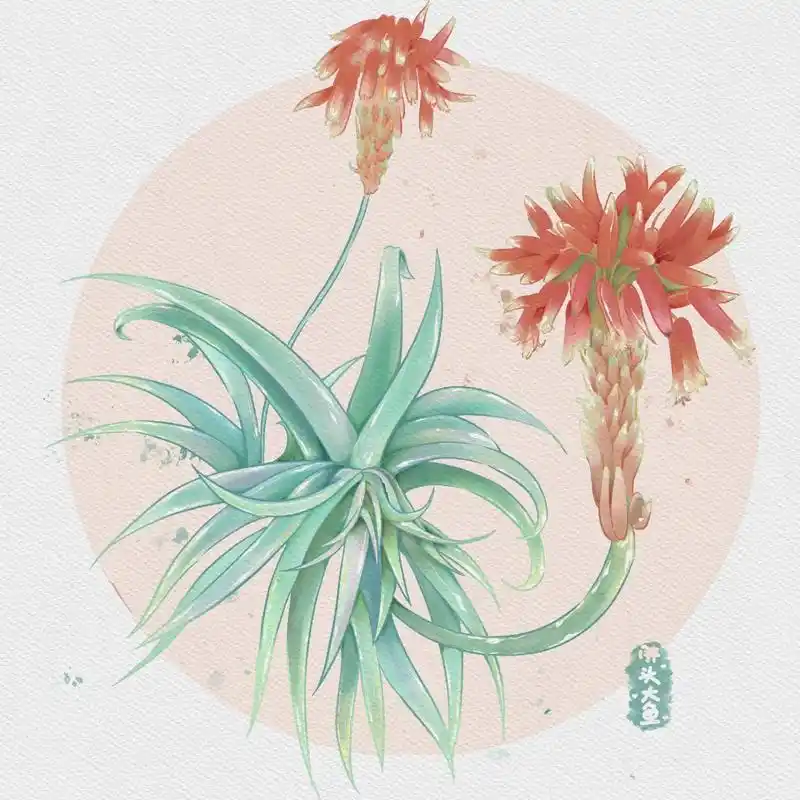 水彩芦荟.#水彩 #一起学画画 #水彩花卉 #procrea - 抖音