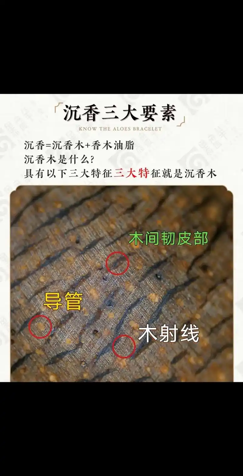 一分钟教你如何鉴定沉香真假!鉴别沉香这件事呢,说 - 抖音