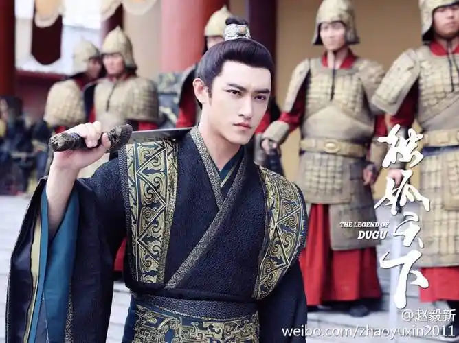 哥舒赵毅新独孤天下