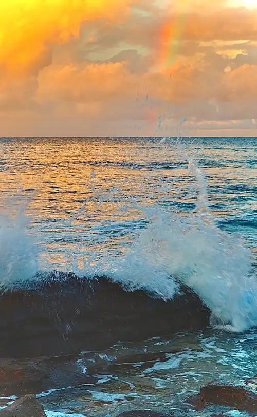 739_1200竖版 竖屏