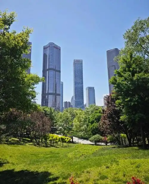 没有午休自由的年轻人,宁愿在公园睡觉|望京|日坛公园_网易订阅