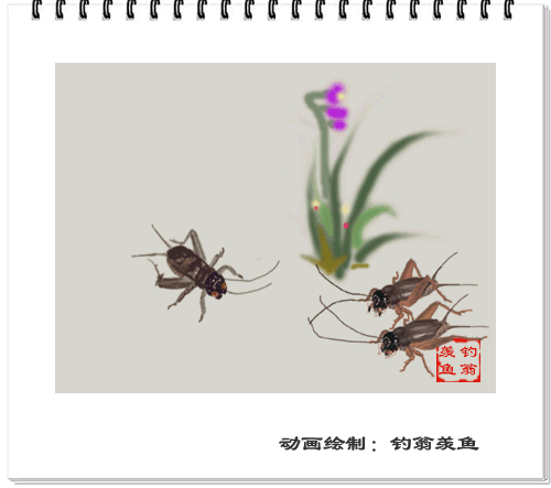 500_443gif 动态图 动图