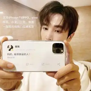 那英手机壳-淘宝拼多多热销那英手机壳货源拿货 - 阿里巴巴货源