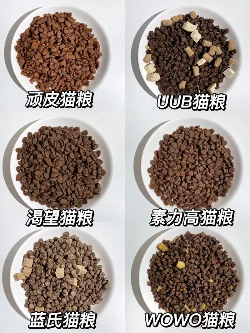 6款猫粮推荐,高质量猫粮你家选对了吗?想要猫主子健健康康的, - 抖音