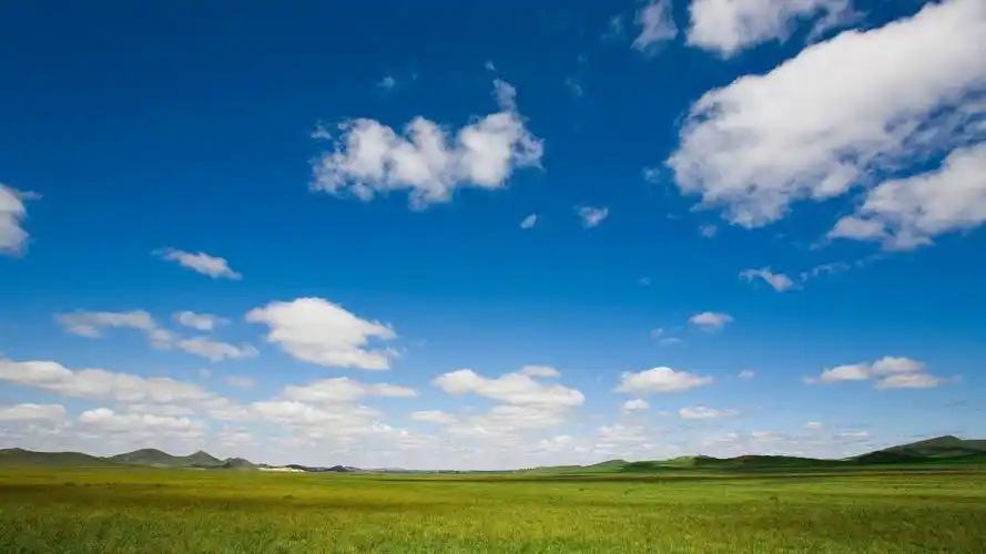 清新绿色护眼蓝天草地桌面壁纸下载 第二辑