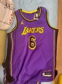 全新洛杉矶湖人勒布朗詹姆斯紫色城市版球衣 短裤 球迷版xxl