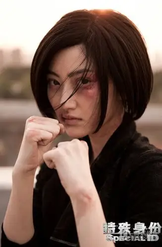 甄子丹,景甜,张涵予,安志杰的等主演的年度功夫巨制《特殊身份》正在