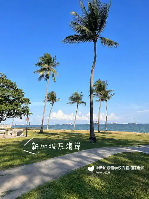 新加坡东海岸