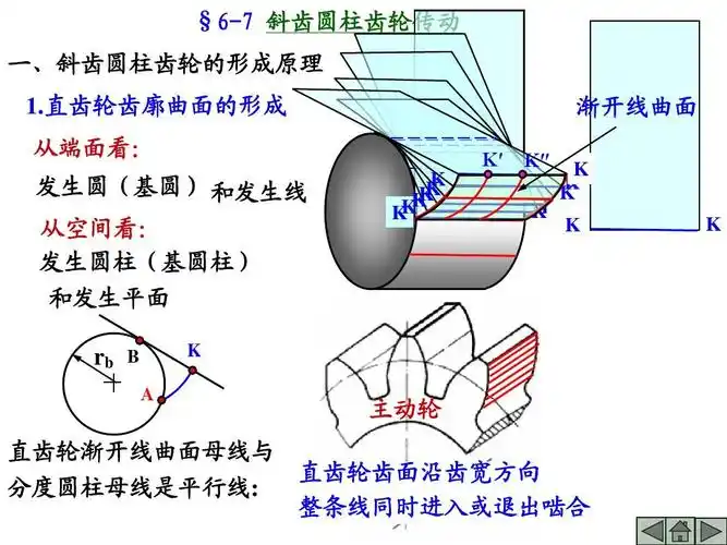 直齿轮齿廓曲面的形成 从端面看: 发生圆(基圆) 和发生线 从空间