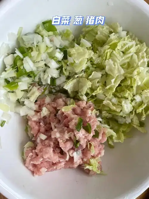 宝贝爱吃的各种包子馅做法