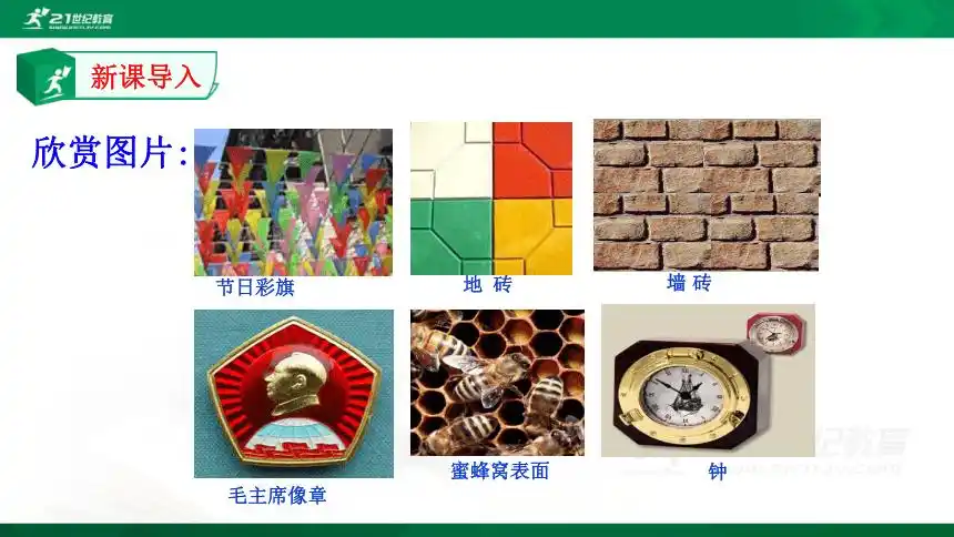 3.1 多边形 课件(共20张ppt)