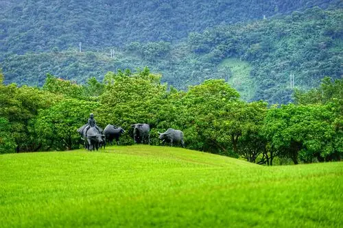 新光兆丰休闲农场