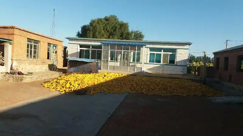 辽宁沈阳新民市平房大院出租含宅基地使用权