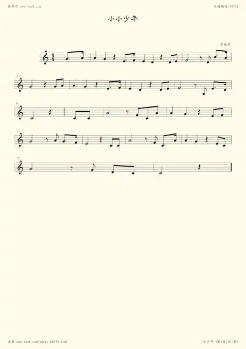 钢琴谱:小小少年
