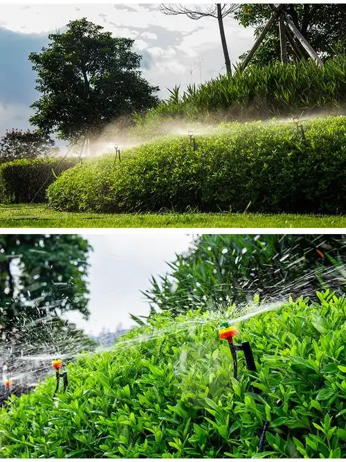 自动浇花地插式360度旋转喷头草坪绿化雾化浇灌喷淋农业灌溉系统 双排