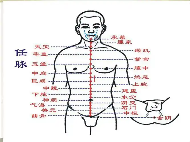 奇经八脉课件汇编完整版