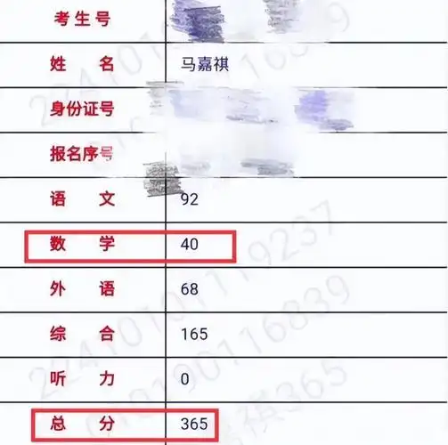 马嘉祺高考成绩出炉啦!比去年进步了不少呢