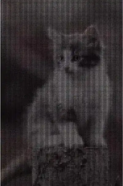 抖音我喜欢你隐藏字图片