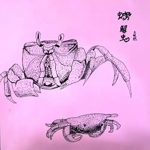 优彩少儿美术大师班2020第18轮《写生螃蟹》