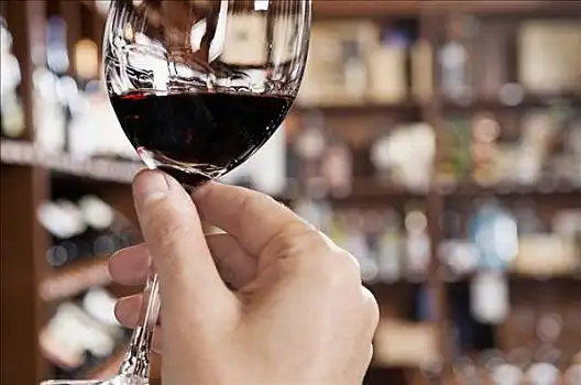 男人,手,拿着,葡萄酒杯,酒吧