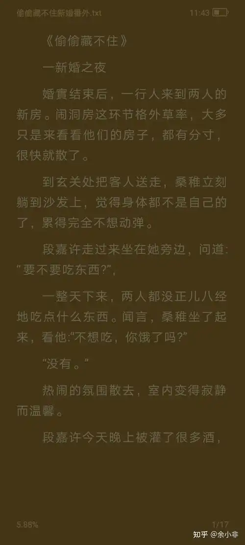 偷偷藏不住新婚番外百度网盘