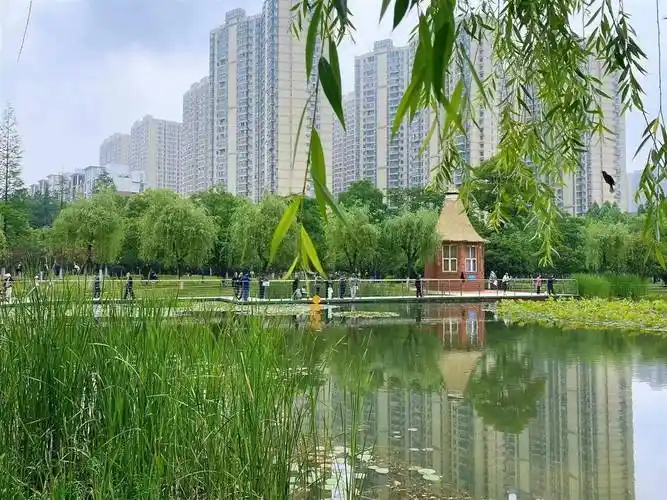 武汉洪山关山公园添新景,市民亲水更安全_栈道_游客_石板