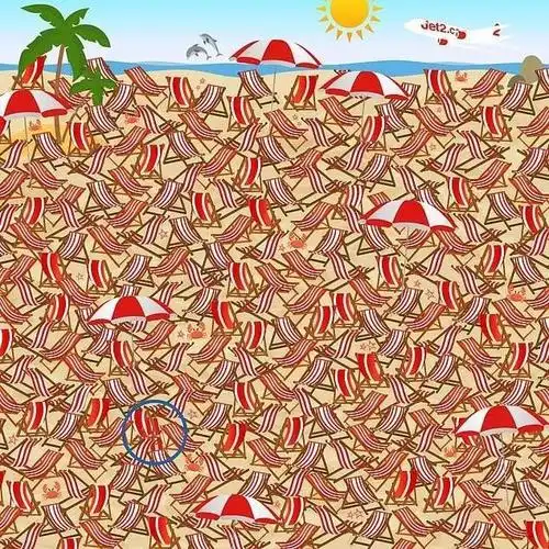 超高难度的眼力大考验限时找出图片中唯一的亮点