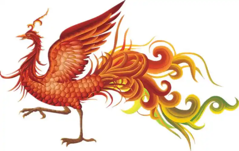 凤凰鸟图库本站是提供个人知识管理的网络存储空间,所