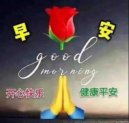 新的周一早上好,一声问候,一句祝福.早安问候语图片表情大全