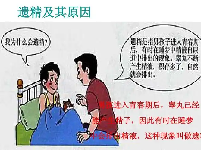 遗精及其原因 男孩进入青春期后,睾丸已经 能产生精子,因此有时在睡梦