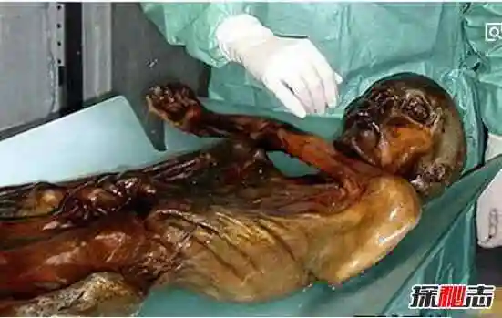 俄老太去世13年无人知晓尸体腐烂变成木乃伊恐怖