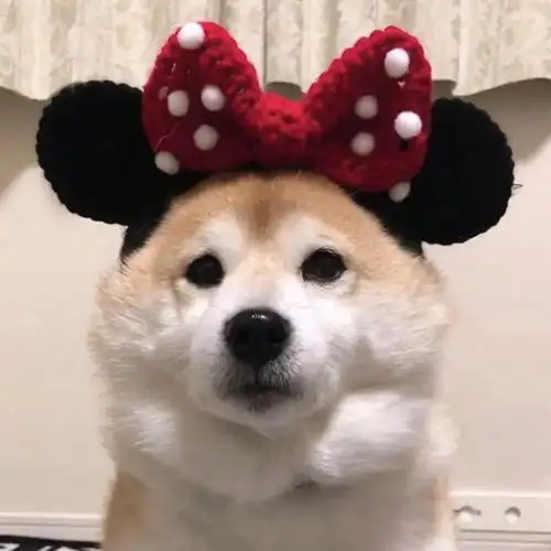 可爱又迷人(沙雕)的狗狗头像 - 知乎