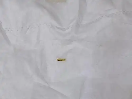 讨论这是绦虫节片吗0505