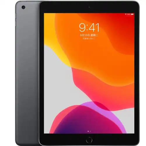apple/苹果 10.2 英寸 ipad 无线局域网机型2020款ipad8/9代2021