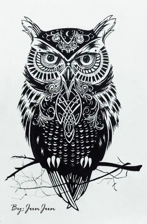 com 黑白线描动物手绘插画 toutiao.