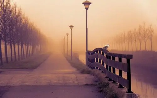 有雾的秋天的一天-秋季自然风光壁纸 当前壁纸尺寸: 2560 x 1600