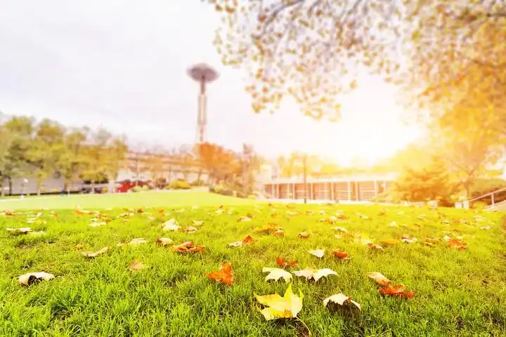 近期天气晴好 洗衣晒被游玩抓紧啦