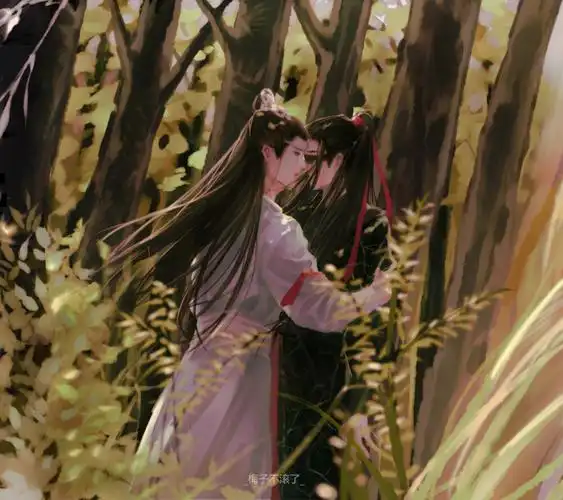 王一博肖战博肖陈情令饭绘