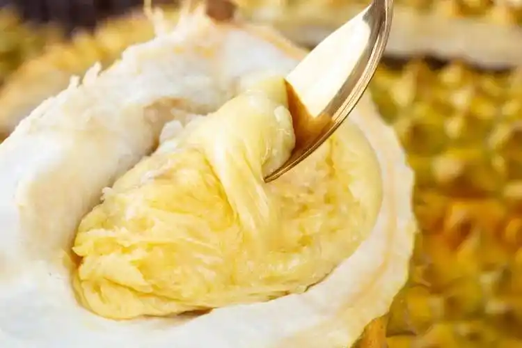 榴莲吃到饱一人送一颗苏丹王快跟上我们去新加坡马来西亚玩耍