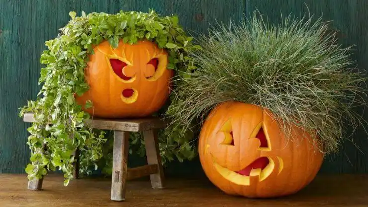 有趣的南瓜雕刻 很多人都非常喜欢这些有趣的南瓜雕刻的创意